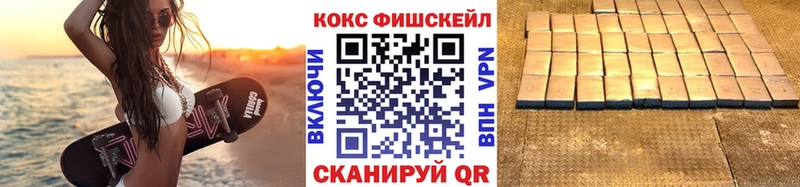 Кокаин Fish Scale  Купить где  Кировград 