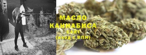 тгк Володарск