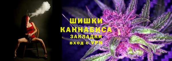 тгк Володарск