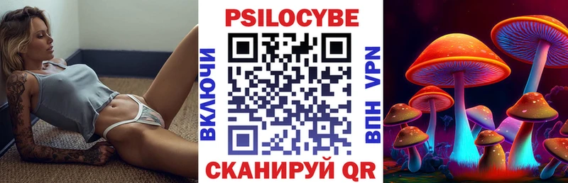Псилоцибиновые грибы Cubensis  Купить где  Кировград 
